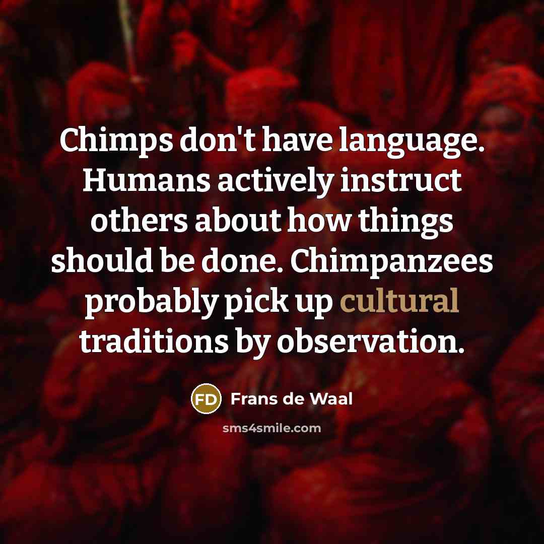 “Chimps don't have language. Humans actively instruct others about how…” quote by Frans de Waal