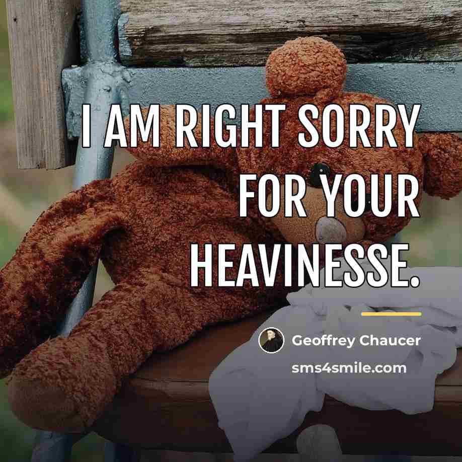 “I am right sorry for your heavinesse.…” quote by Geoffrey Chaucer