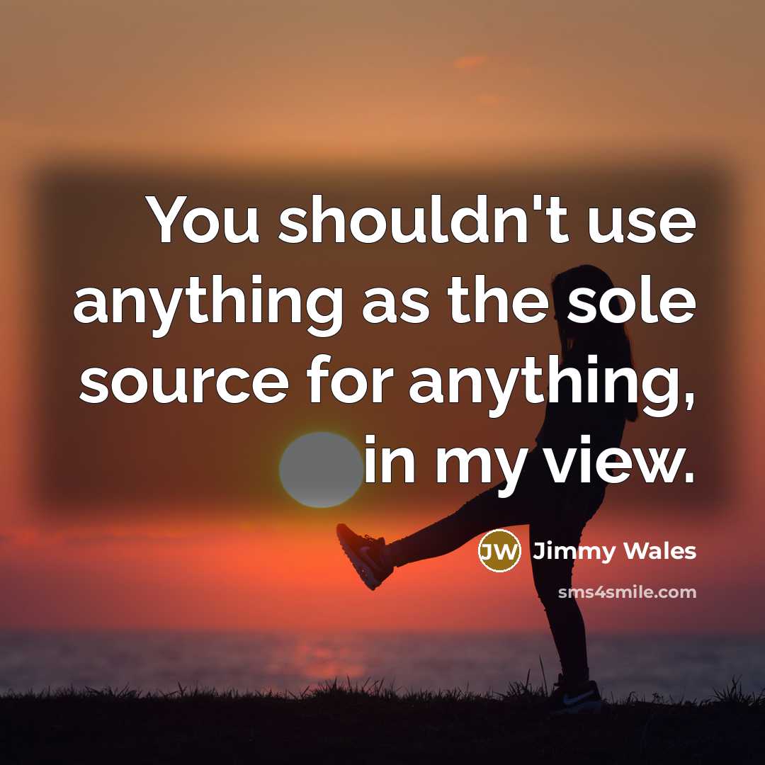 “You shouldn't use anything as the sole source for anything,…” quote by Jimmy Wales