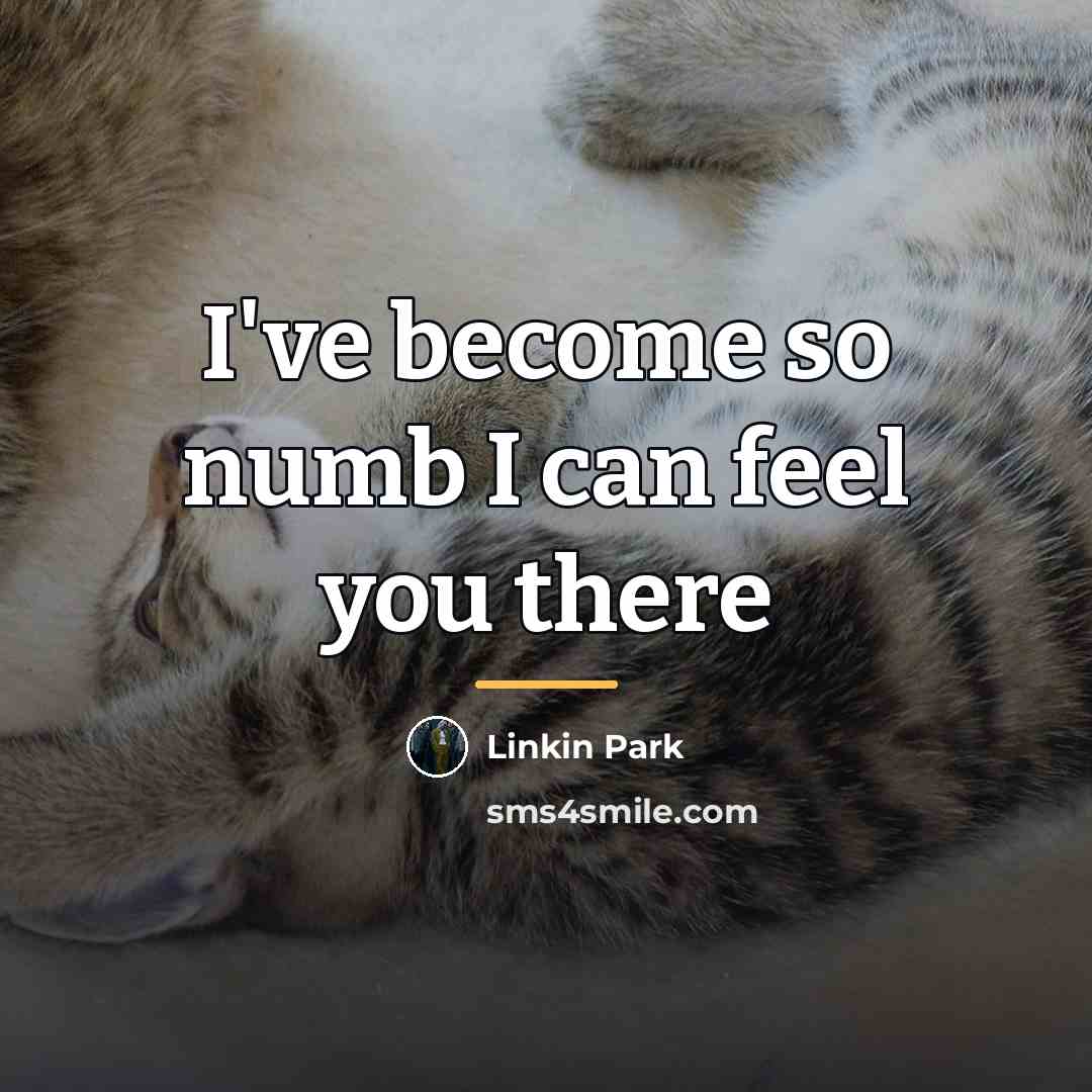 “I've become so numb I can feel you there…” quote by Linkin Park