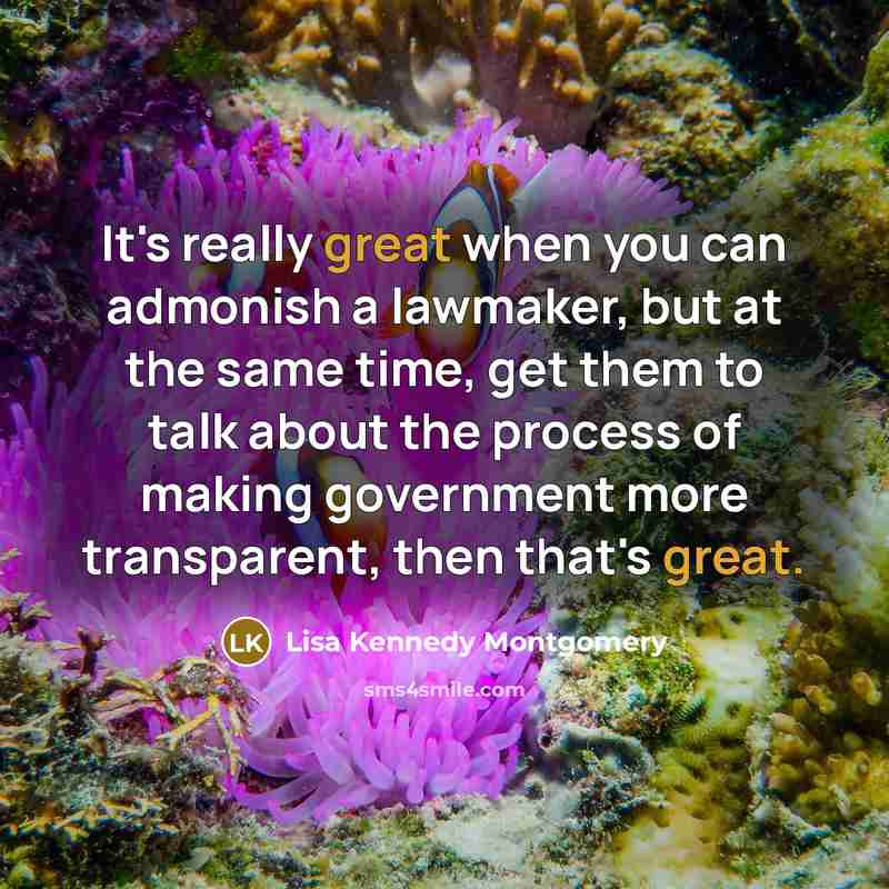 “It's really great when you can admonish a lawmaker, but…” quote by Lisa Kennedy Montgomery