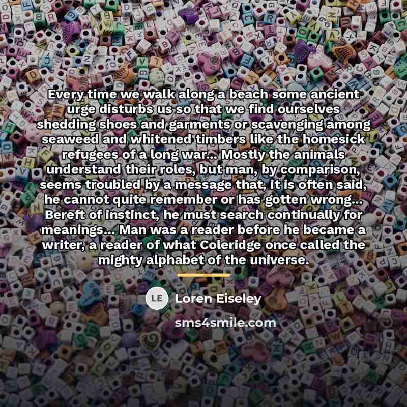 “Every time we walk along a beach some ancient urge…” quote by Loren Eiseley