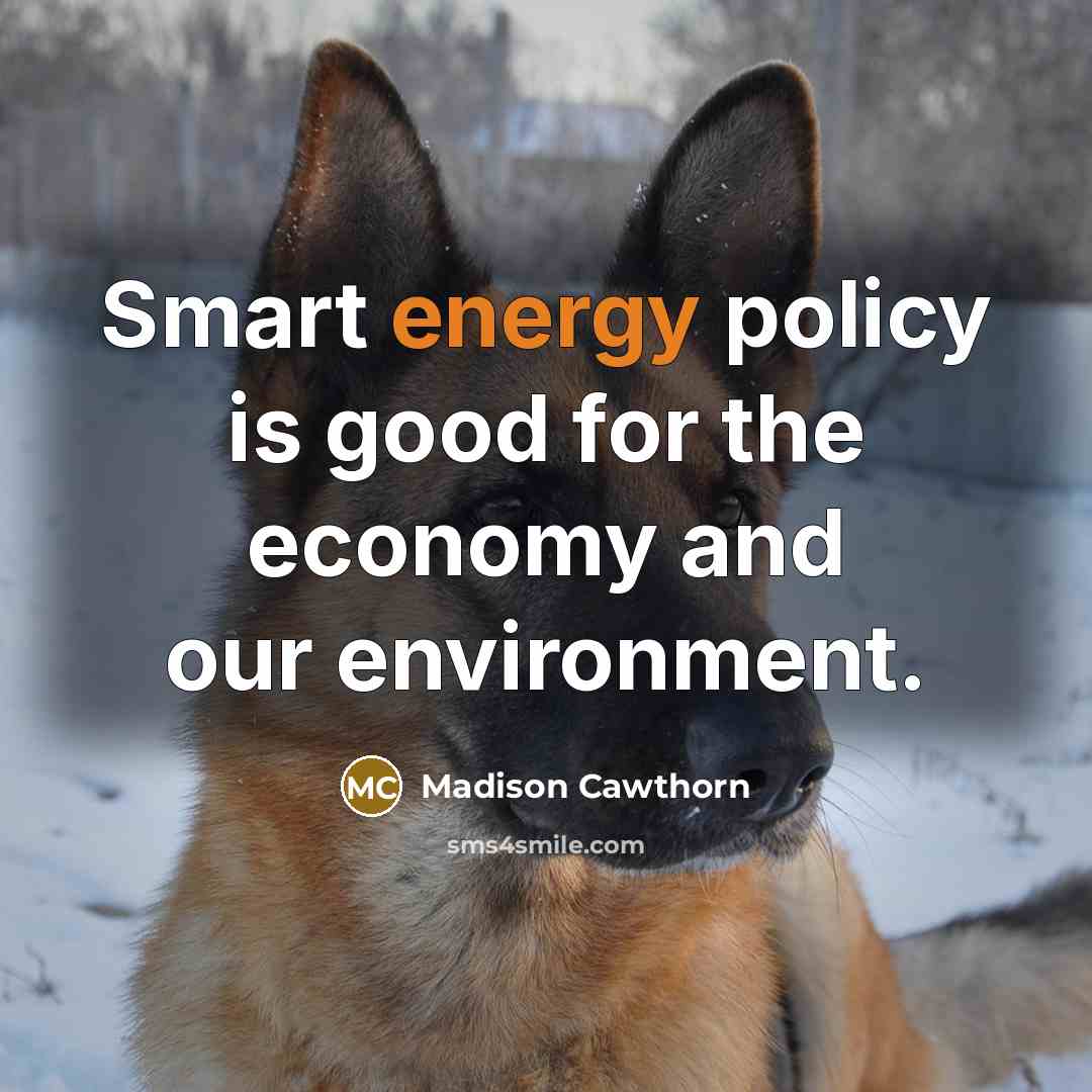 “Smart energy policy is good for the economy and our…” quote by Madison Cawthorn