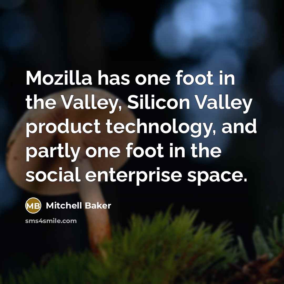 “Mozilla has one foot in the Valley, Silicon Valley product…” quote by Mitchell Baker