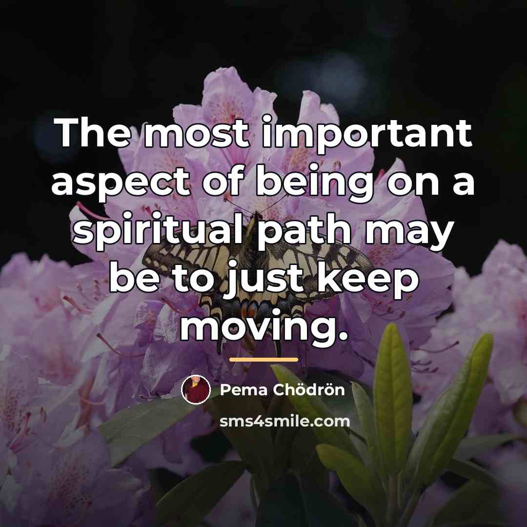 “The most important aspect of being on a spiritual path…” quote by Pema Chodron