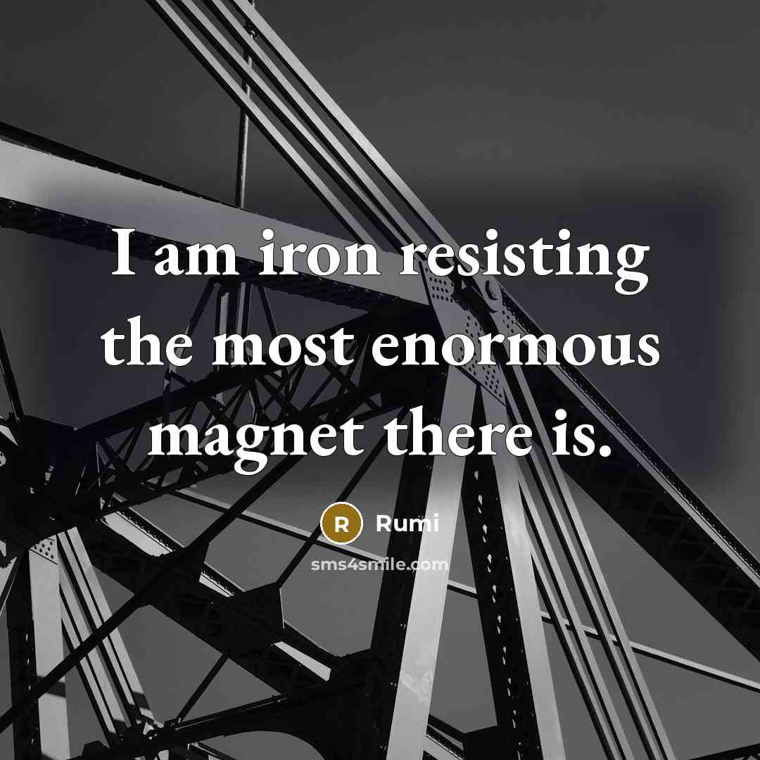 “I am iron resisting the most enormous magnet there is.…” quote by Rumi