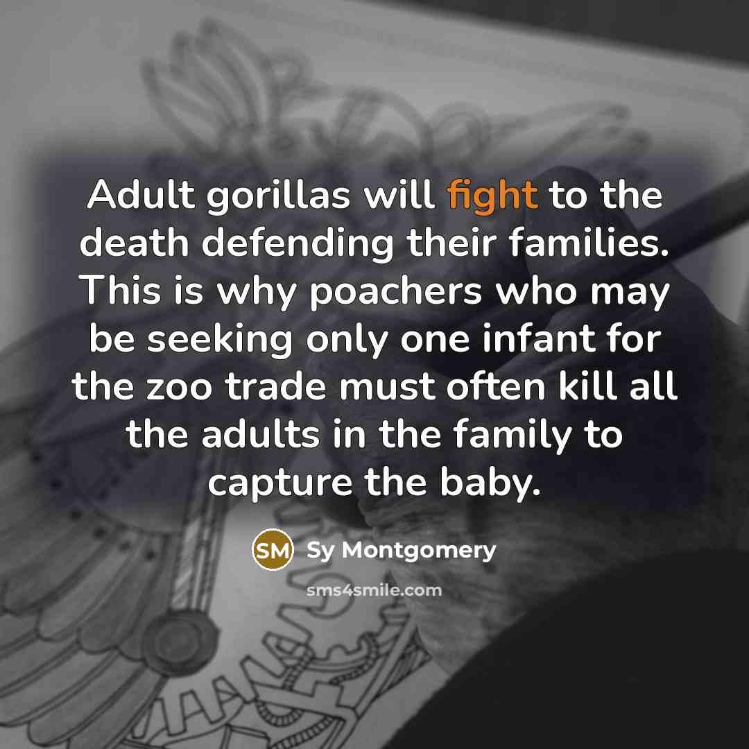 “Adult gorillas will fight to the death defending their families.…” quote by Sy Montgomery