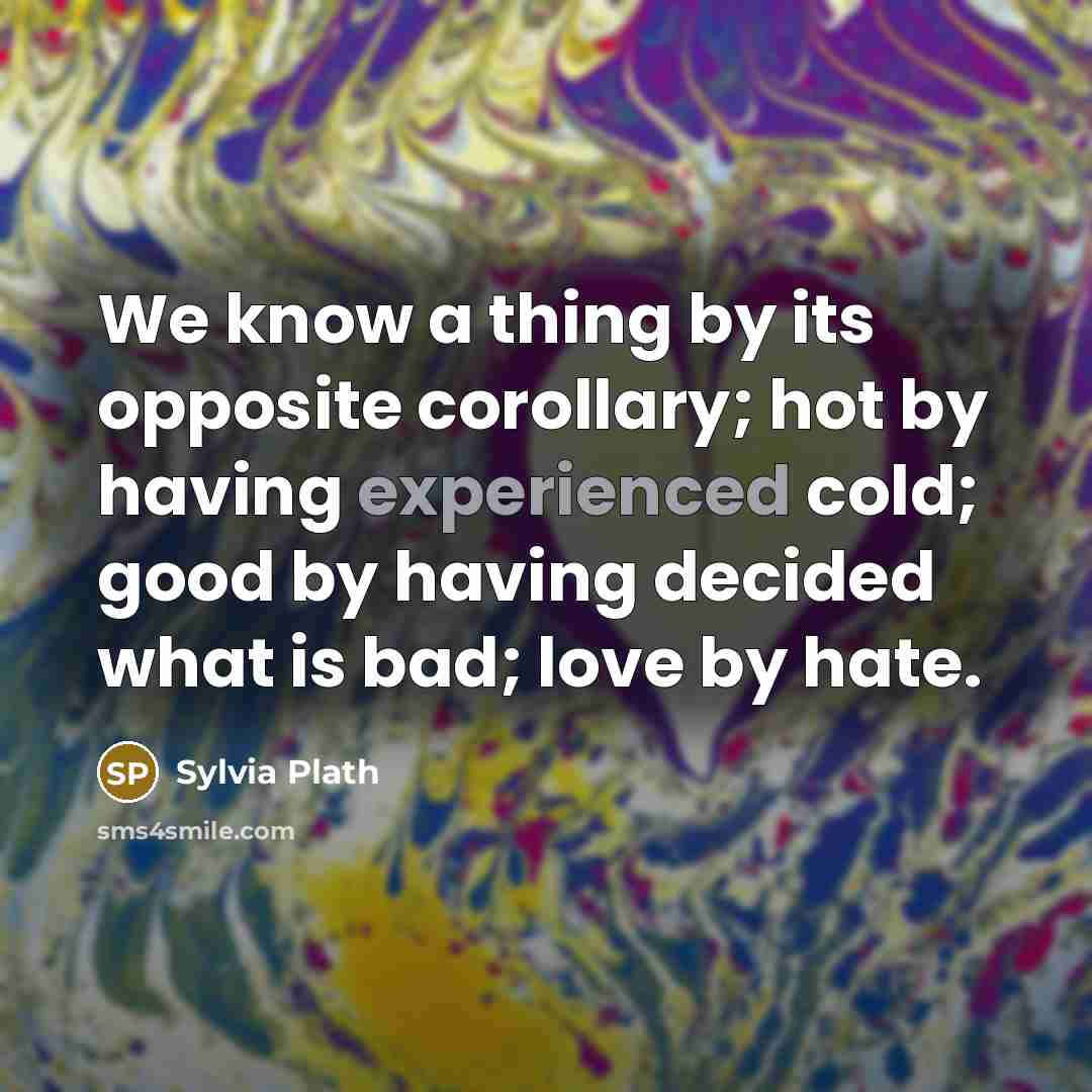“We know a thing by its opposite corollary; hot by…” quote by Sylvia Plath