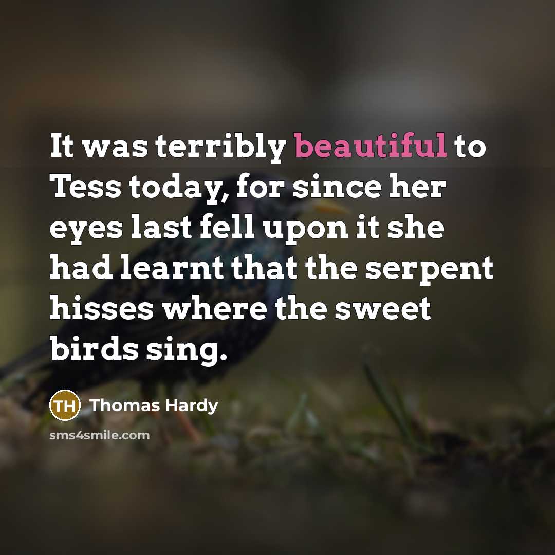 “It was terribly beautiful to Tess today, for since her…” quote by Thomas Hardy