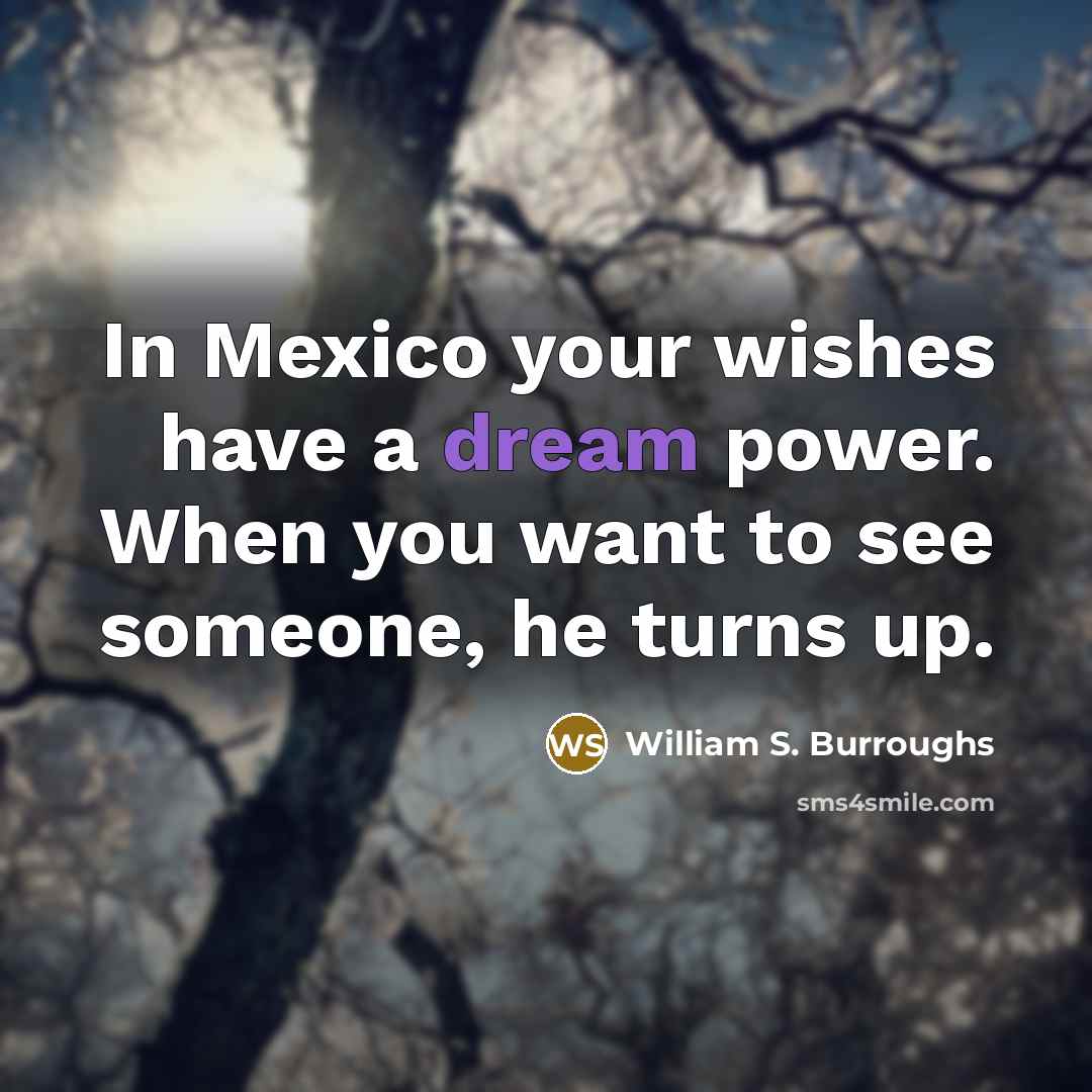 “In Mexico your wishes have a dream power. When you…” quote by William S. Burroughs