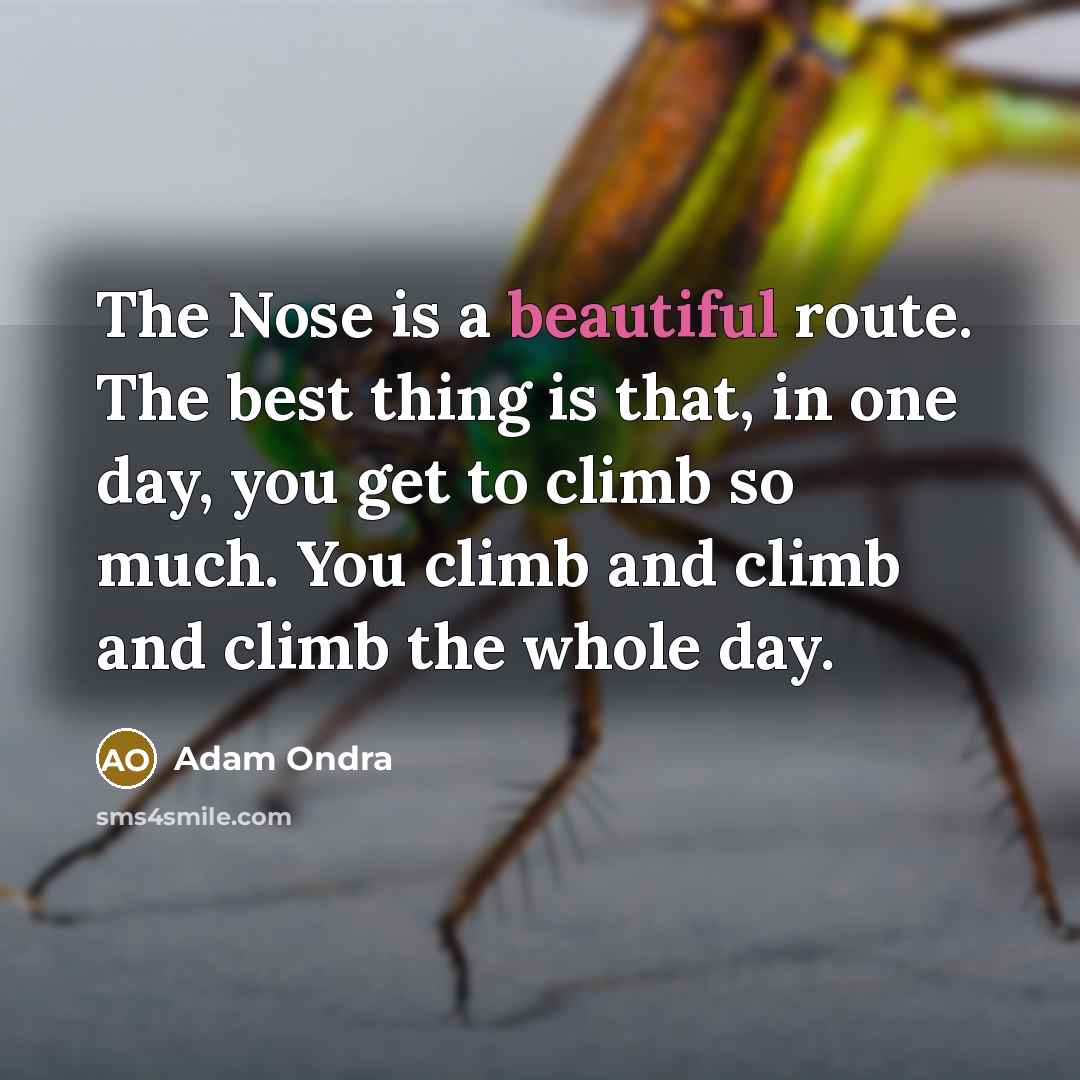 “The Nose is a beautiful route. The best thing is…” quote by Adam Ondra