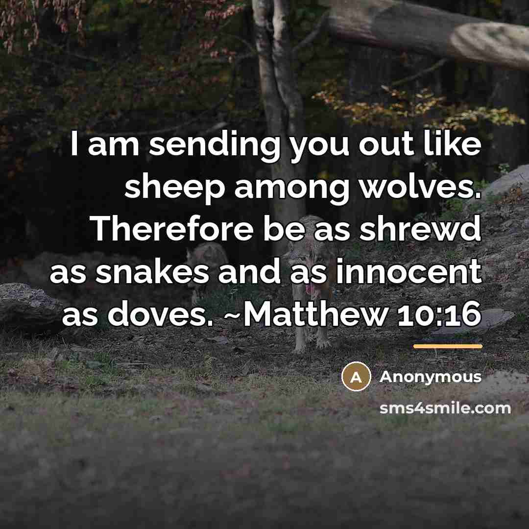 “I am sending you out like sheep among wolves. Therefore…” quote by Anonymous