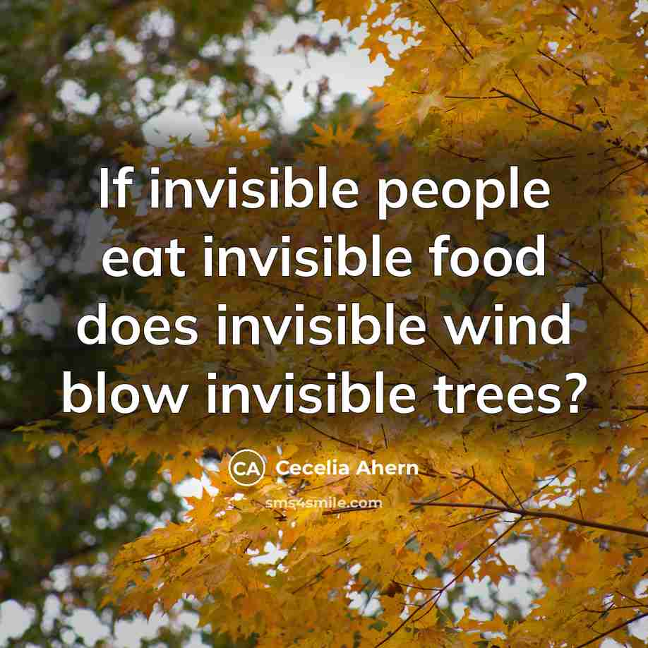 “If invisible people eat invisible food does invisible wind blow…” quote by Cecelia Ahern
