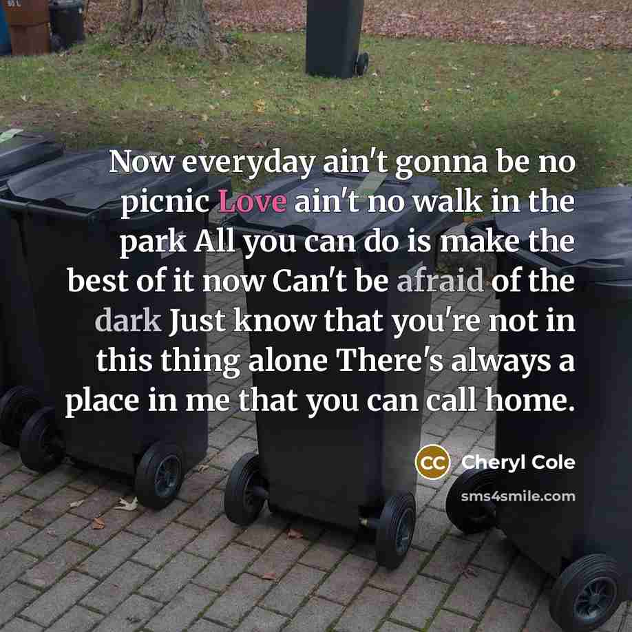 “Now everyday ain't gonna be no picnic Love ain't no…” quote by Cheryl Cole