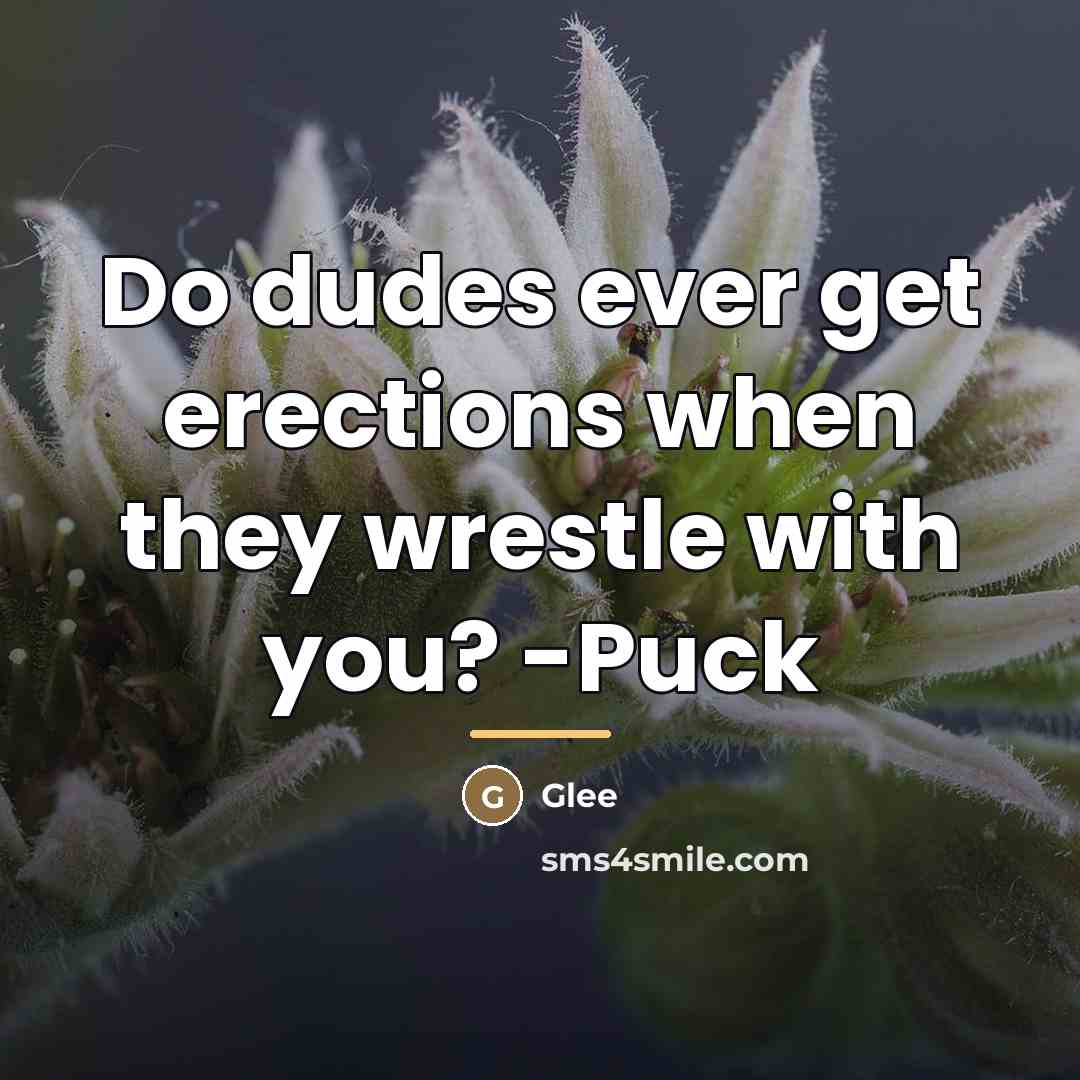 “Do dudes ever get erections when they wrestle with you?…” quote by Glee