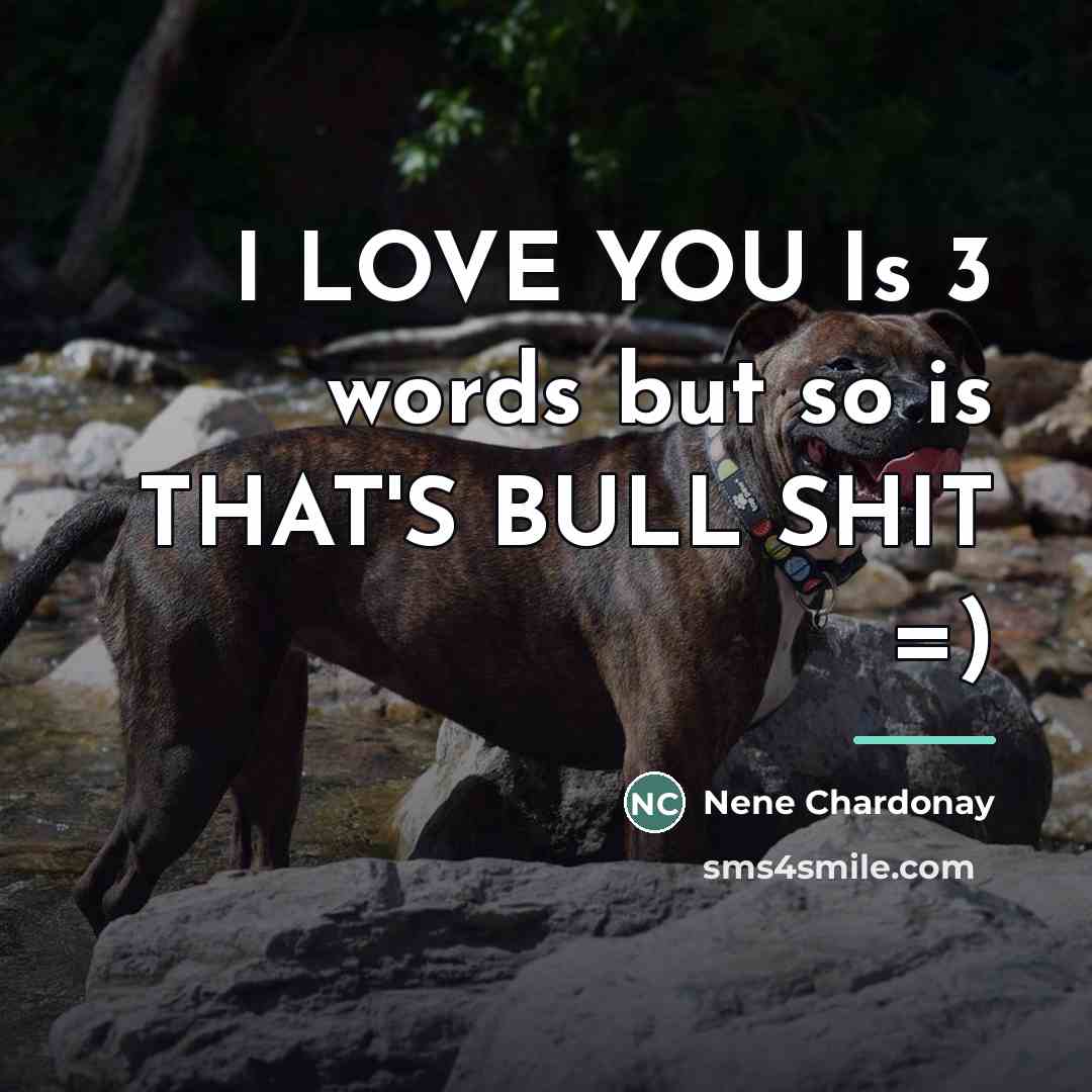 “I LOVE YOU Is 3 words but so is THAT'S…” quote by Nene Chardonay