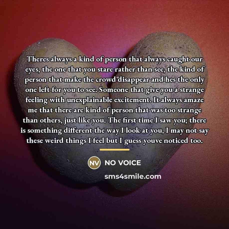 “Theres always a kind of person that always caught our…” quote by NO VOICE