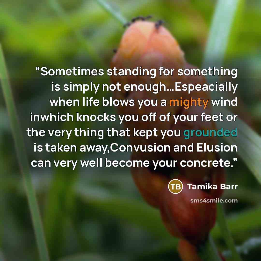 “Sometimes standing for something is simply not enough…Espeacially when life blows you a mighty wind inwhich knocks you off of your feet or the very thing that kept you grounded is taken away,Convusion and Elusion can very well become your concrete.” quote by Tamika Barr