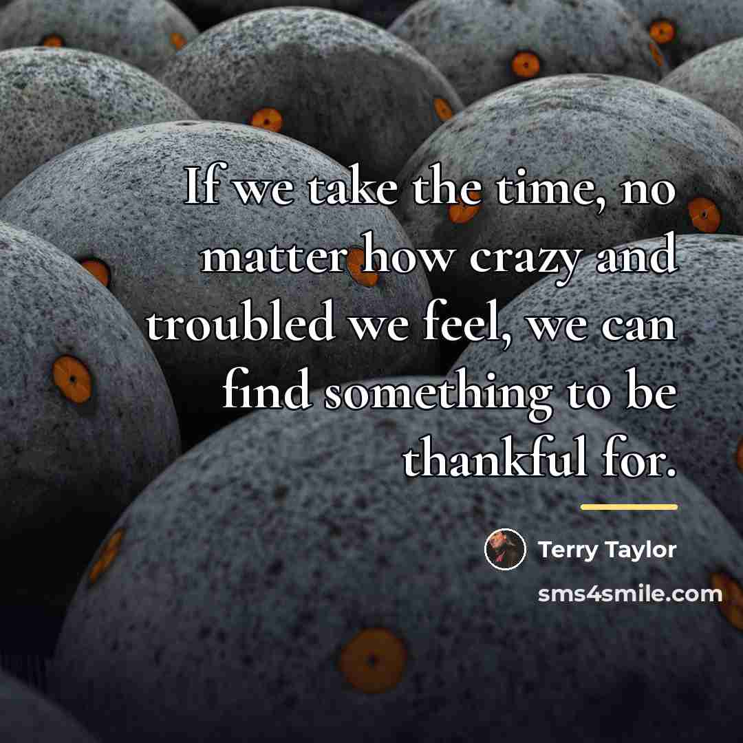 “If we take the time, no matter how crazy and…” quote by Terry Taylor