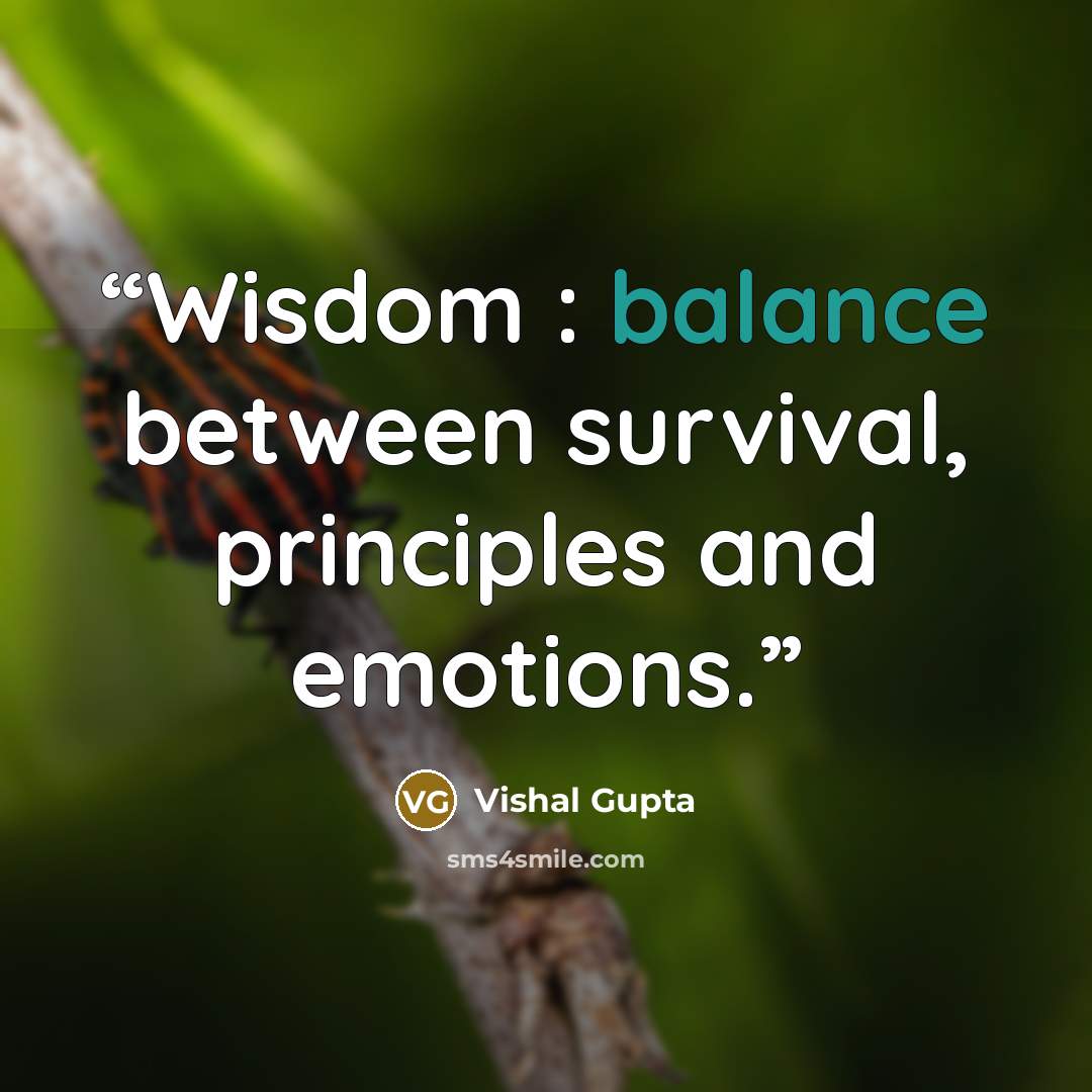 “Wisdom : balance between survival, principles and emotions.” quote by Vishal Gupta