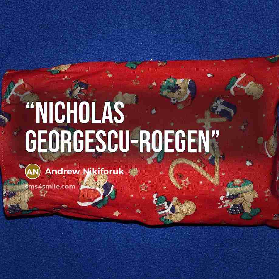“Nicholas Georgescu-Roegen” quote by Andrew Nikiforuk
