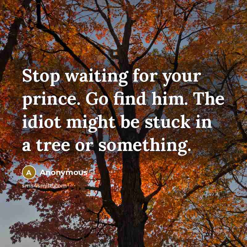 “Stop waiting for your prince. Go find him. The idiot…” quote by Anonymous