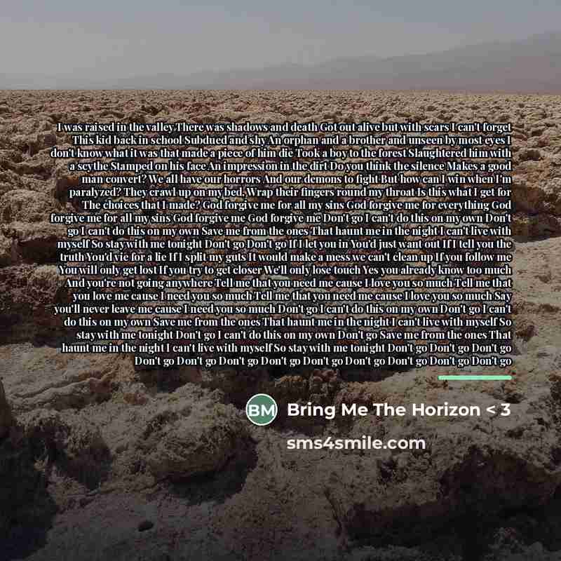 “I was raised in the valley There was shadows and…” quote by Bring Me The Horizon < 3