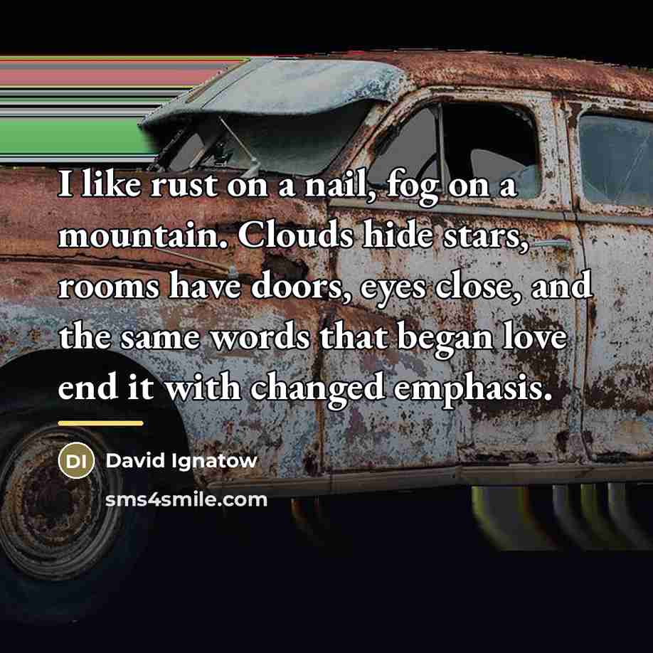 “I like rust on a nail, fog on a mountain.…” quote by David Ignatow