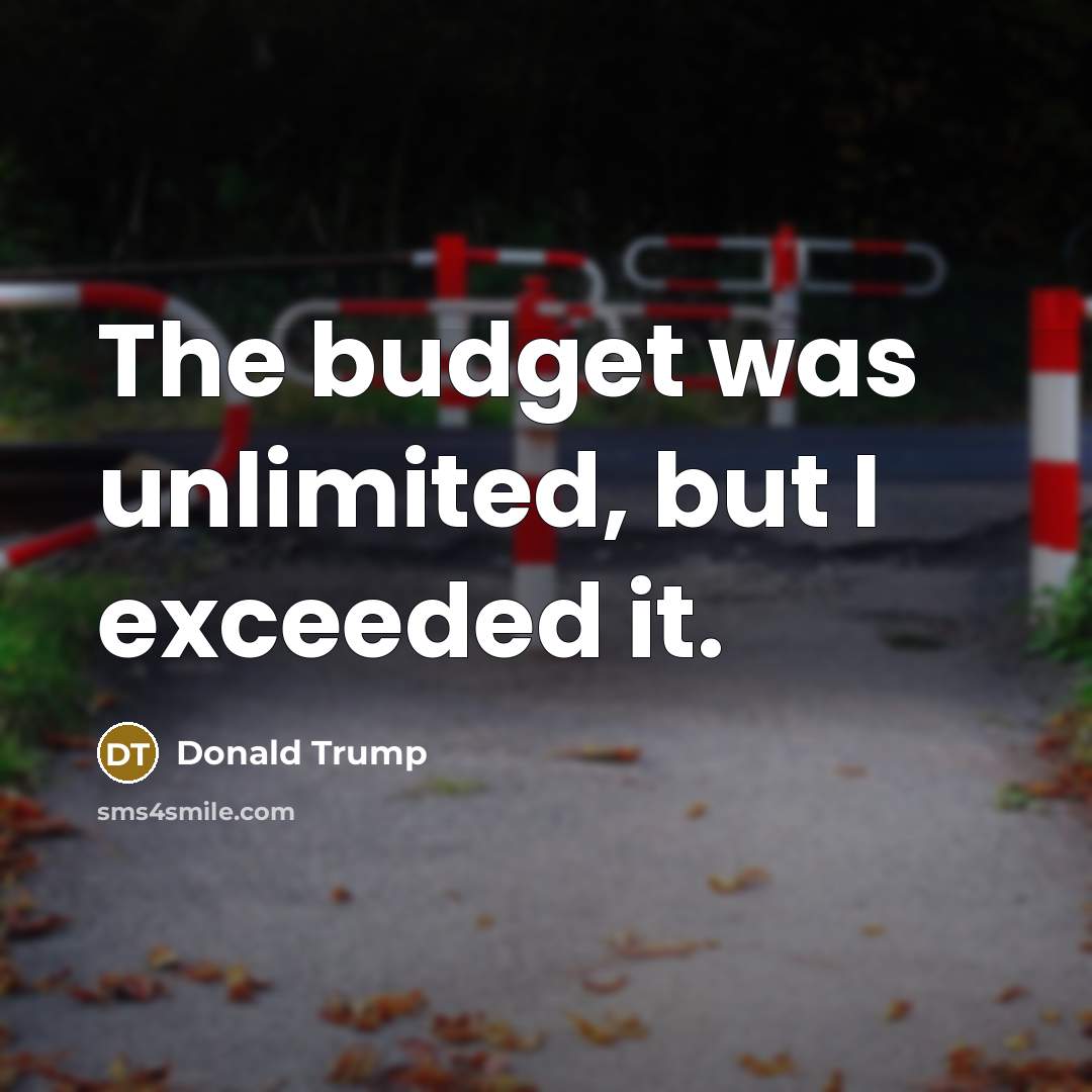 “The budget was unlimited, but I exceeded it.…” quote by Donald Trump