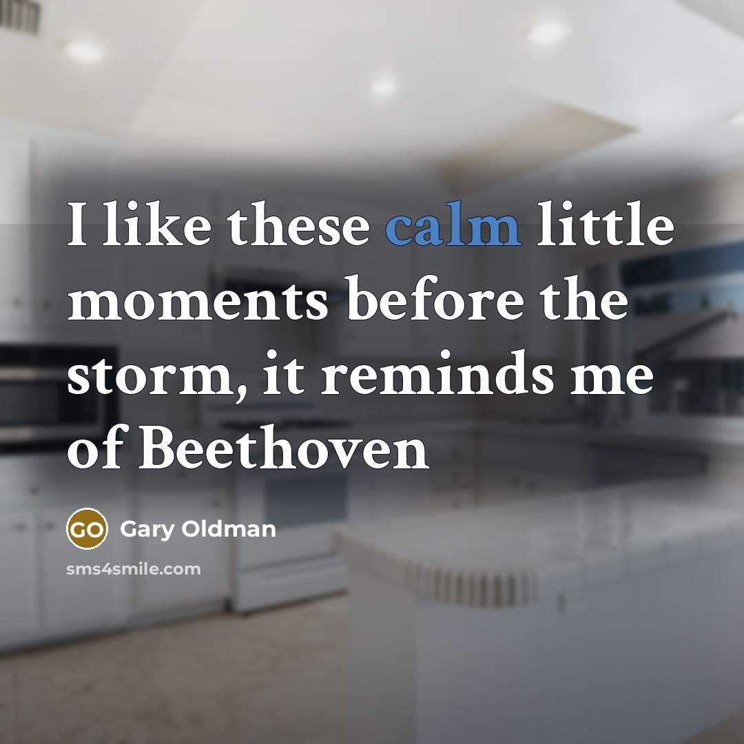 “I like these calm little moments before the storm, it…” quote by Gary Oldman