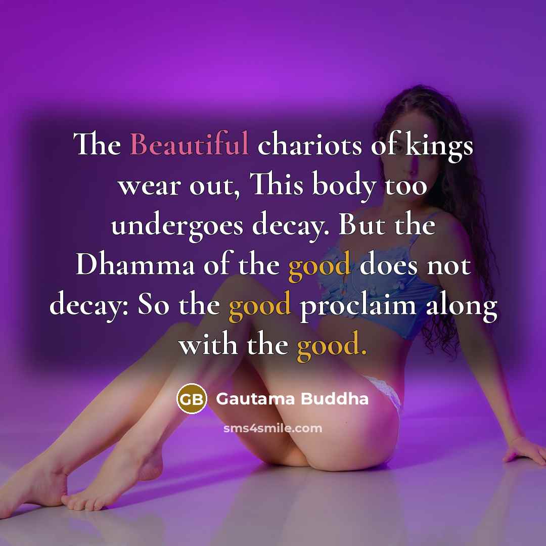 “The Beautiful chariots of kings wear out, This body too…” quote by Gautama Buddha
