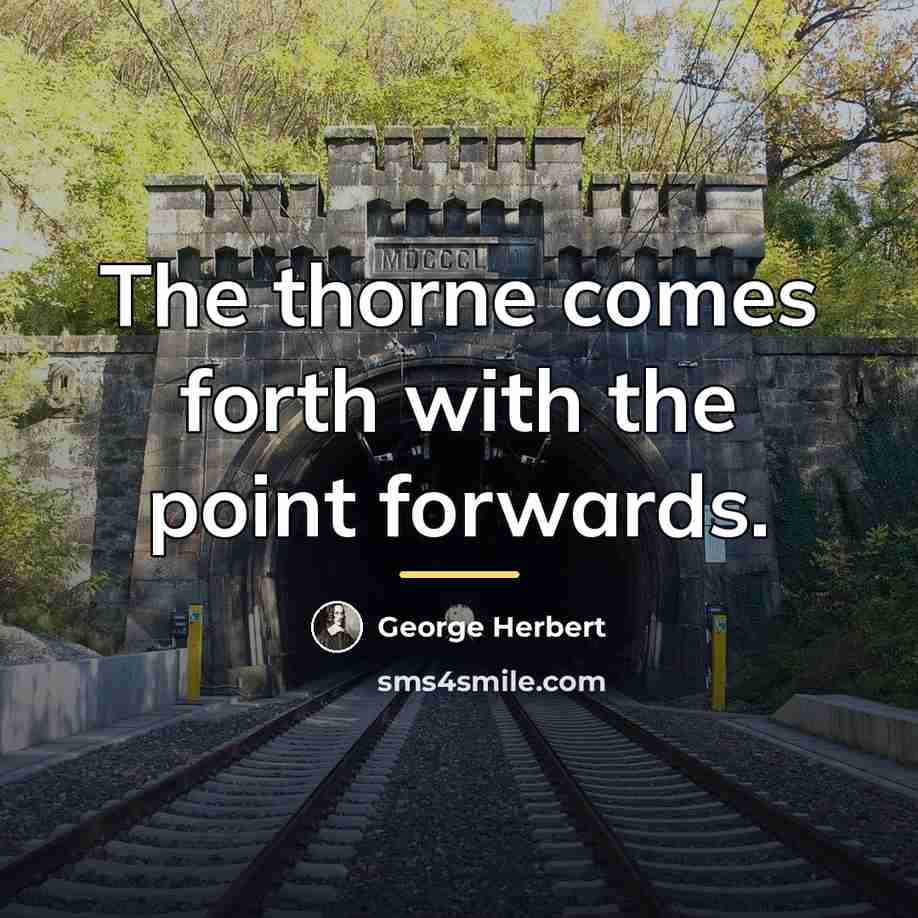 “The thorne comes forth with the point forwards.…” quote by George Herbert