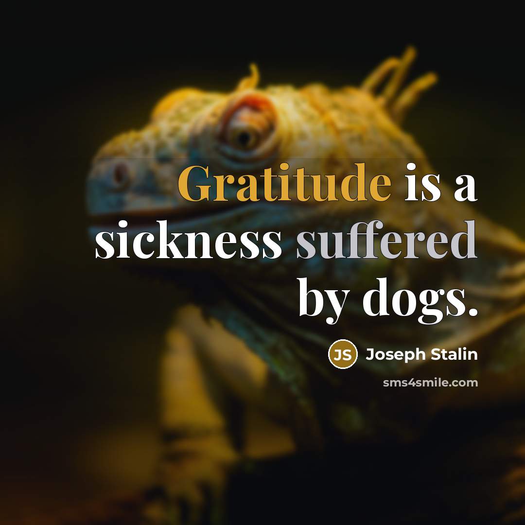 “Gratitude is a sickness suffered by dogs.” quote by Joseph Stalin