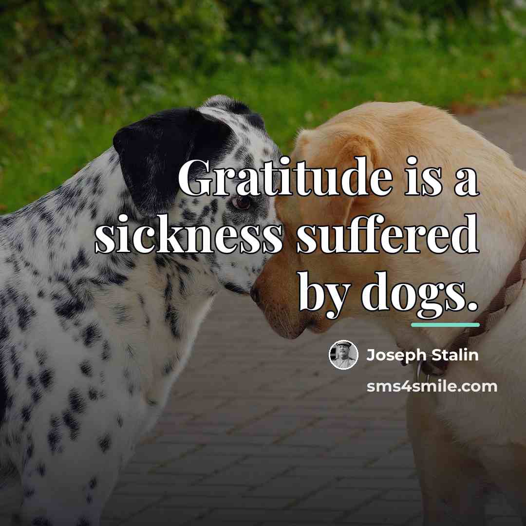 “Gratitude is a sickness suffered by dogs.…” quote by Joseph Stalin