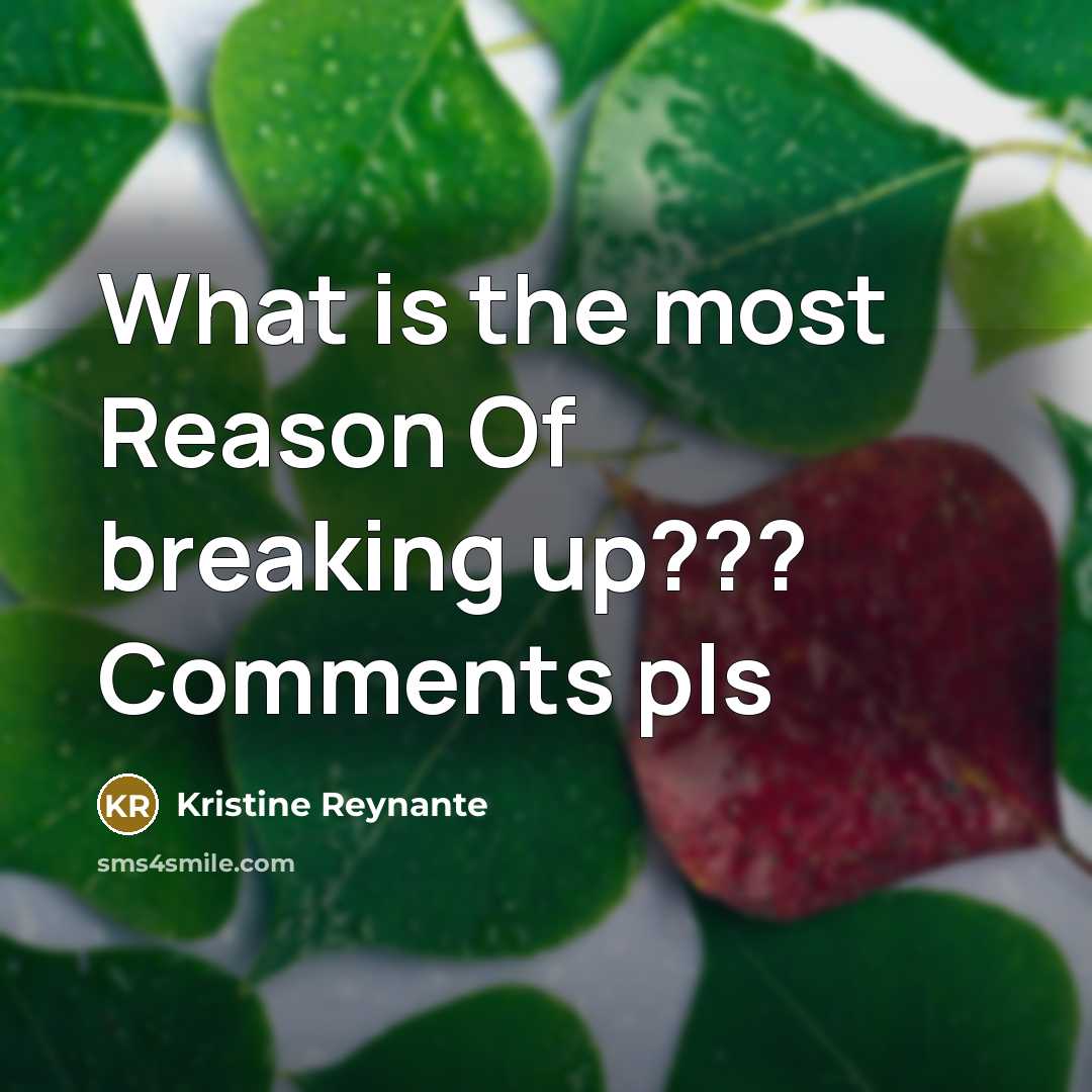 “What is the most Reason Of breaking up??? Comments pls…” quote by Kristine Reynante