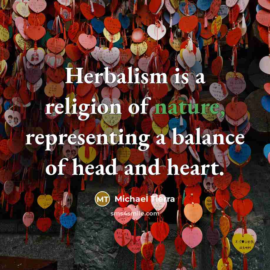 “Herbalism is a religion of nature, representing a balance of…” quote by Michael Tierra