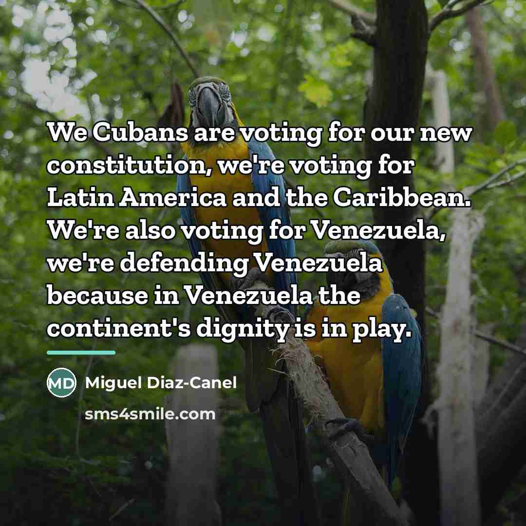 “We Cubans are voting for our new constitution, we're voting…” quote by Miguel Diaz-Canel
