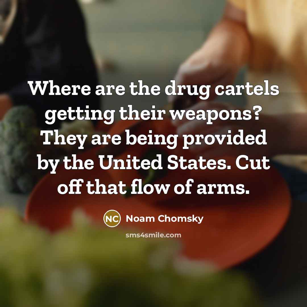 “Where are the drug cartels getting their weapons? They are…” quote by Noam Chomsky