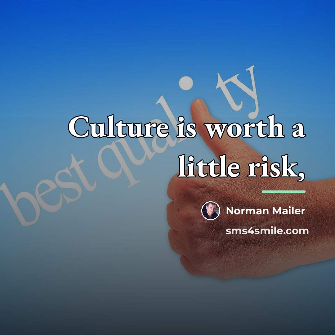 “Culture is worth a little risk,…” quote by Norman Mailer