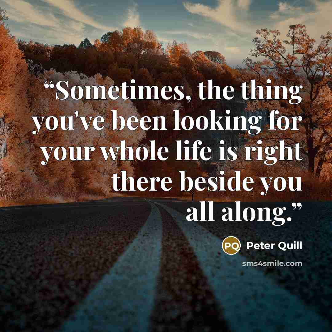 “Sometimes, the thing you've been looking for your whole life is right there beside you all along.” quote by Peter Quill