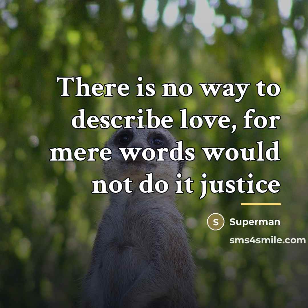 “There is no way to describe love, for mere words…” quote by Superman