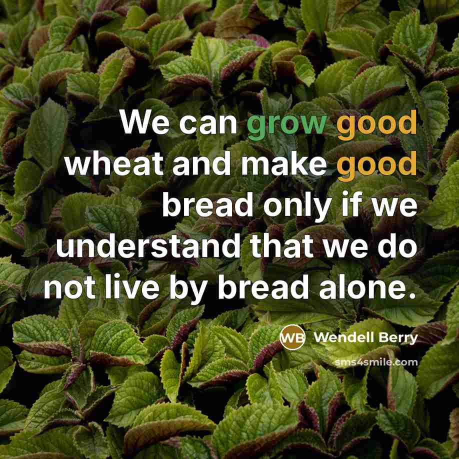 “We can grow good wheat and make good bread only…” quote by Wendell Berry