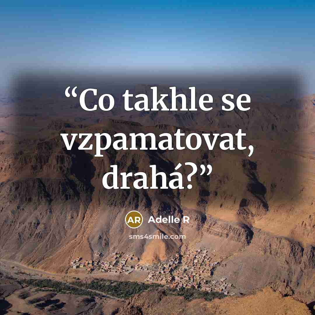 “Co takhle se vzpamatovat, drahá?” quote by Adelle R