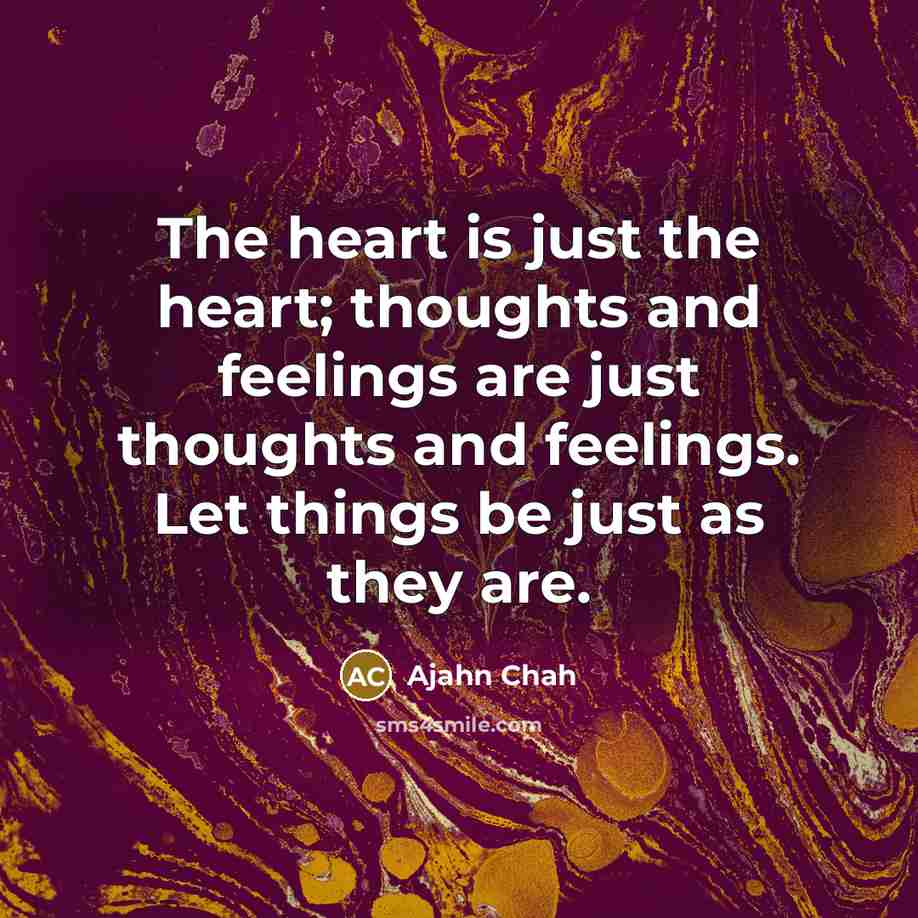 “The heart is just the heart; thoughts and feelings are…” quote by Ajahn Chah