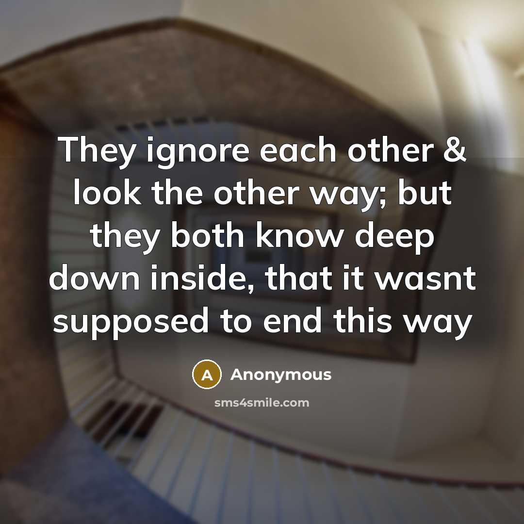 “They ignore each other & look the other way; but they both know deep down inside, that it wasnt supposed to end this way” quote by Anonymous