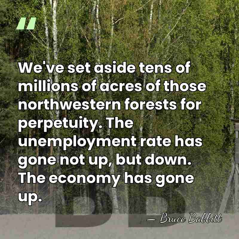 We've set aside tens of millions of acres of those northwestern forests&hellip; - Bruce Babbitt