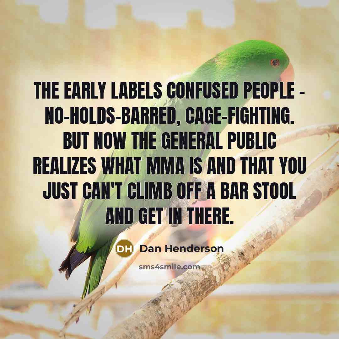 “The early labels confused people - no-holds-barred, cage-fighting. But now…” quote by Dan Henderson
