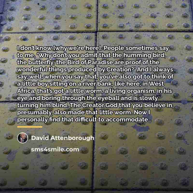 “I don’t know [why we're here]. People sometimes say to…” quote by David Attenborough