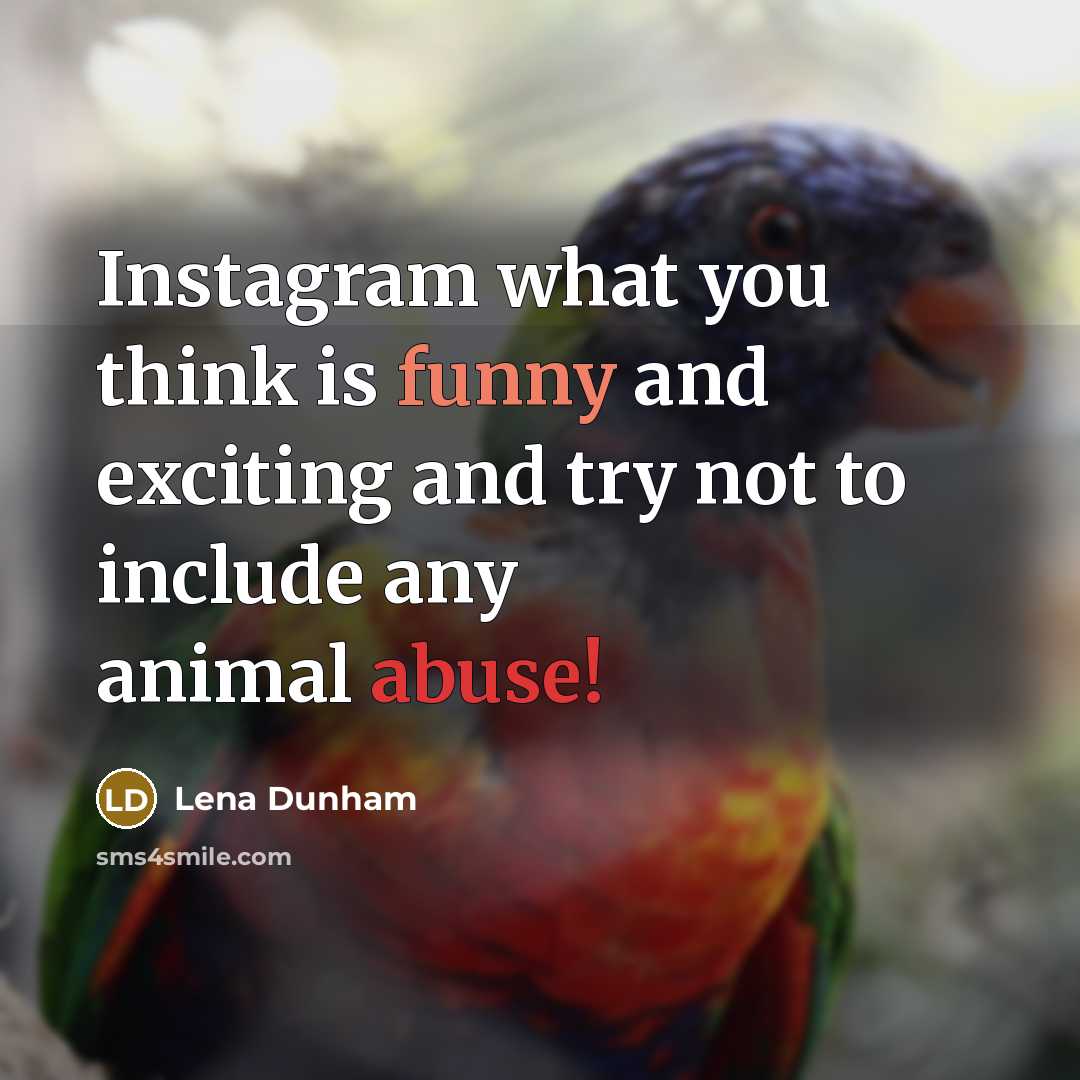 “Instagram what you think is funny and exciting and try…” quote by Lena Dunham