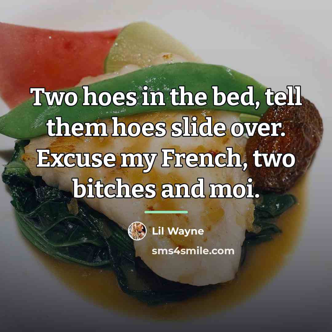 “Two hoes in the bed, tell them hoes slide over.…” quote by Lil Wayne
